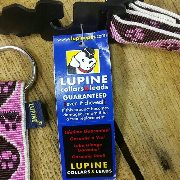 NWT Lupine Pet Collar & Matching Keychain! - Picture 2 of 8